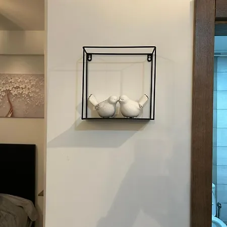 Matic 4 * Trnava (Jagodina)